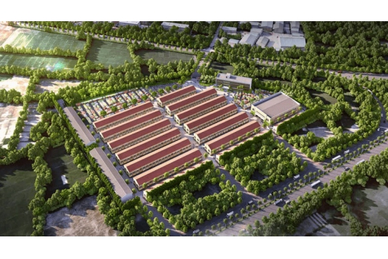 CHỢ ĐẦU MỐI BÍCH HÒA - HUYỆN THANH OAI